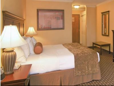 Western Southpark Inn&suites Tyler
